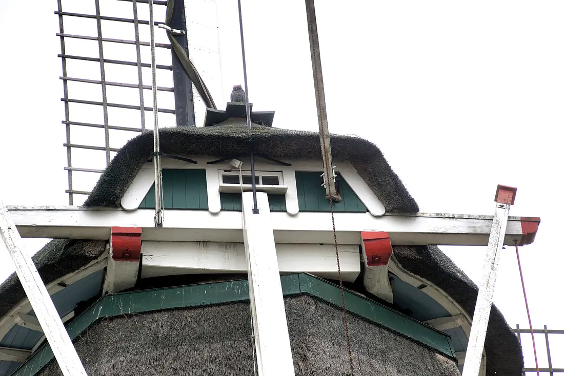 3, Molen 01030 De Vier Winden / Weerselose Molen (Reutum), Boukje van Leijen (01-08-2025)&nbsp; | Database Nederlandse molens