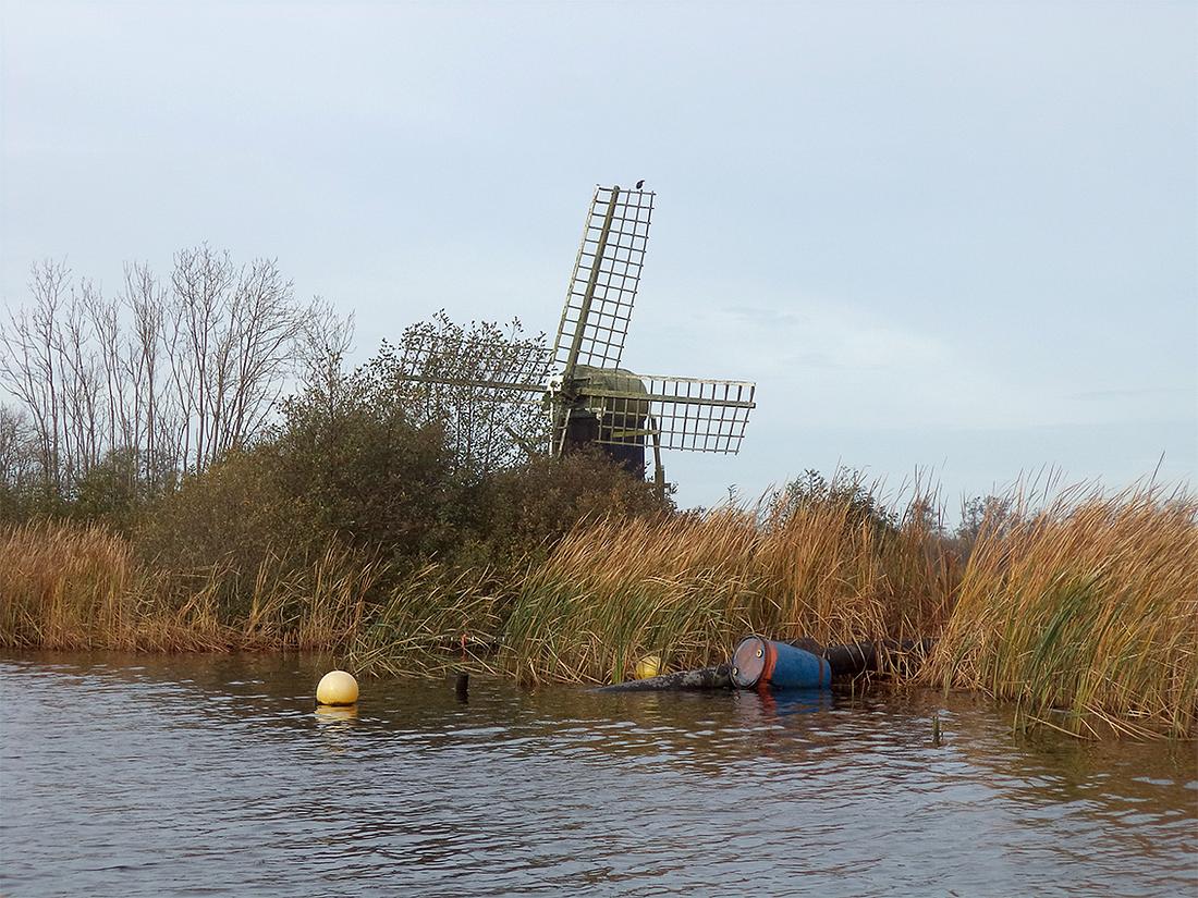 1, Molen 06906 De Princehofmolen (Eernewoude / Earnewâld), Ronald Bakker (26-10-2017)De molen raakt steeds meer ingegroeid door vegetatie. | Database Nederlandse molens