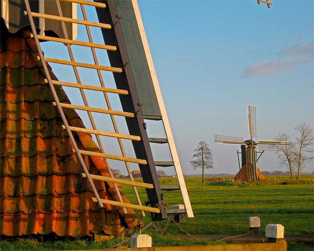 5, Molen 06486 Jansmole (Goëngahuizen/ Goaiïngahuzen), Edo Werkman (19-12-2008)De Jansmolen, met op de voorgrond De Modderige Bol. | Database Nederlandse molens