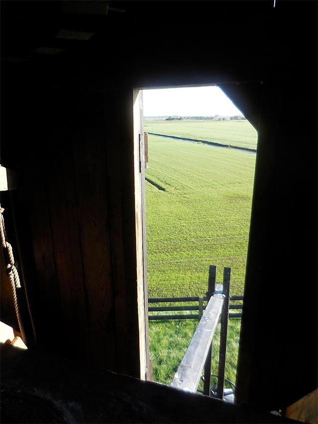 6, Molen 06486 Jansmole (Goëngahuizen/ Goaiïngahuzen), Anon. (23-9-2017)Doordat die trapbomen zo stevig in die kast verwerkt zitten en ook nog schoren hebben, lijkt die staart alleen nodig om de hangers te steunen.  | Database Nederlandse molens