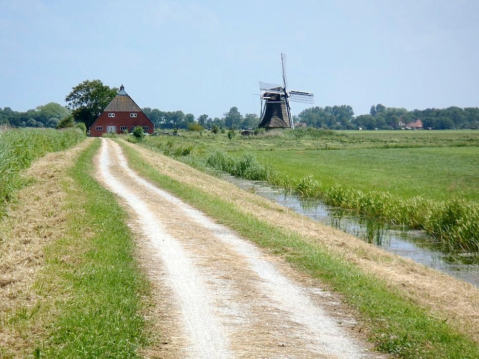 1, Molen 03046 Genezareth-Kleasterpoldermûne / Genezareth-Kloosterpoldermolen (Hallum), JG Borst (15-7-2013) | Database Nederlandse molens