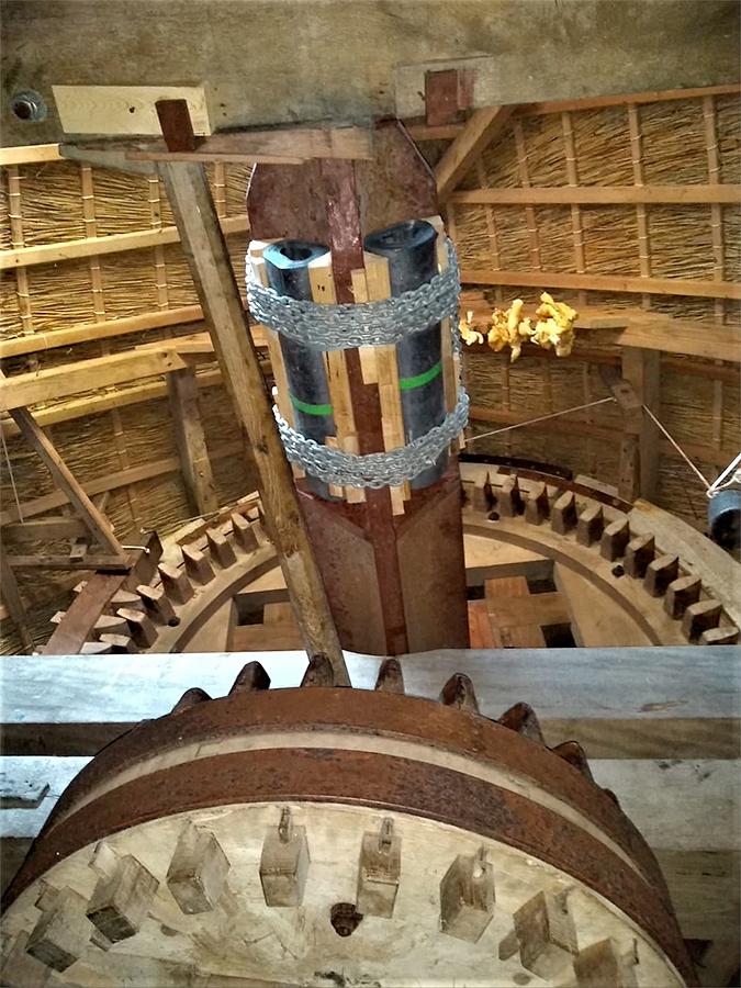 19, Molen 10251 De Verwachting (Hollum (Ameland)), René Broos (8-9-2021) | Database Nederlandse molens