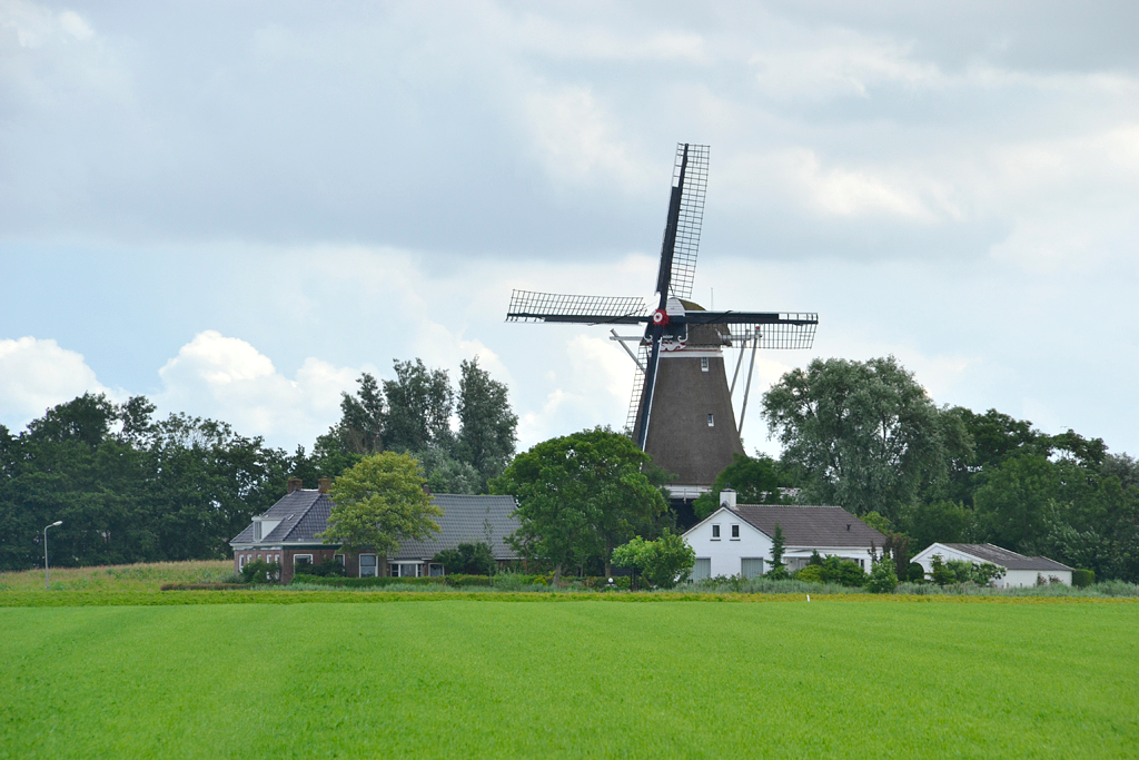 1, Molen 03064 De Hoop (Holwert / Holwerd), Rob Pols (23-7-2017)De molen gezien vanuit de polder, in dit geval vanuit het westen. | Database Nederlandse molens