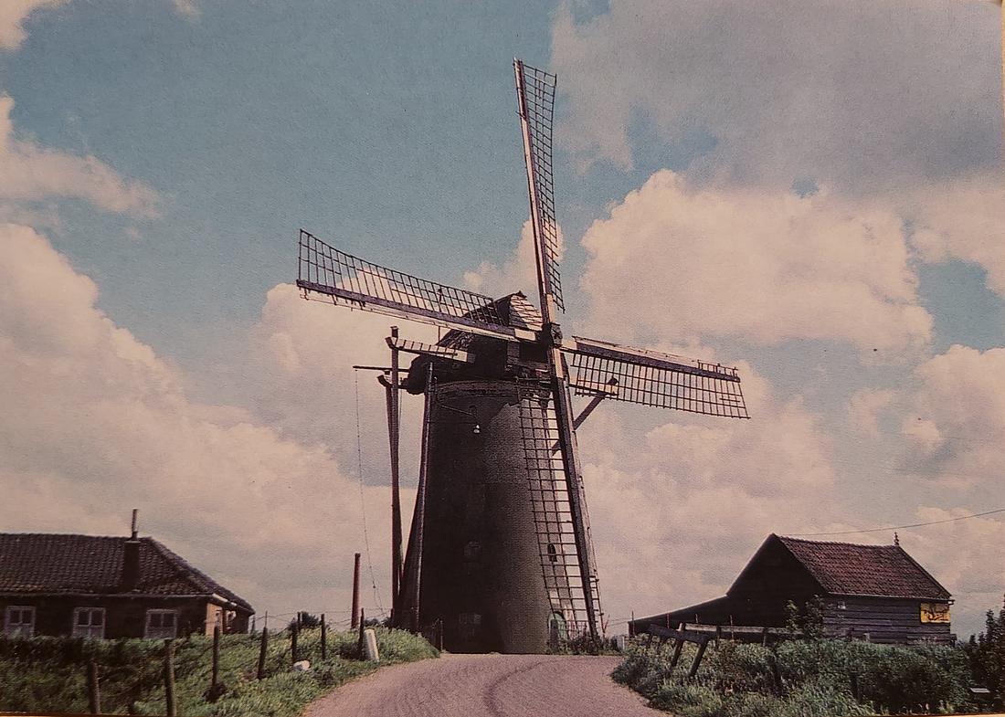 Molen 01910 Molen van Schelling (Heenvliet), Ansichtkaart, coll. DVM | Database Nederlandse molens