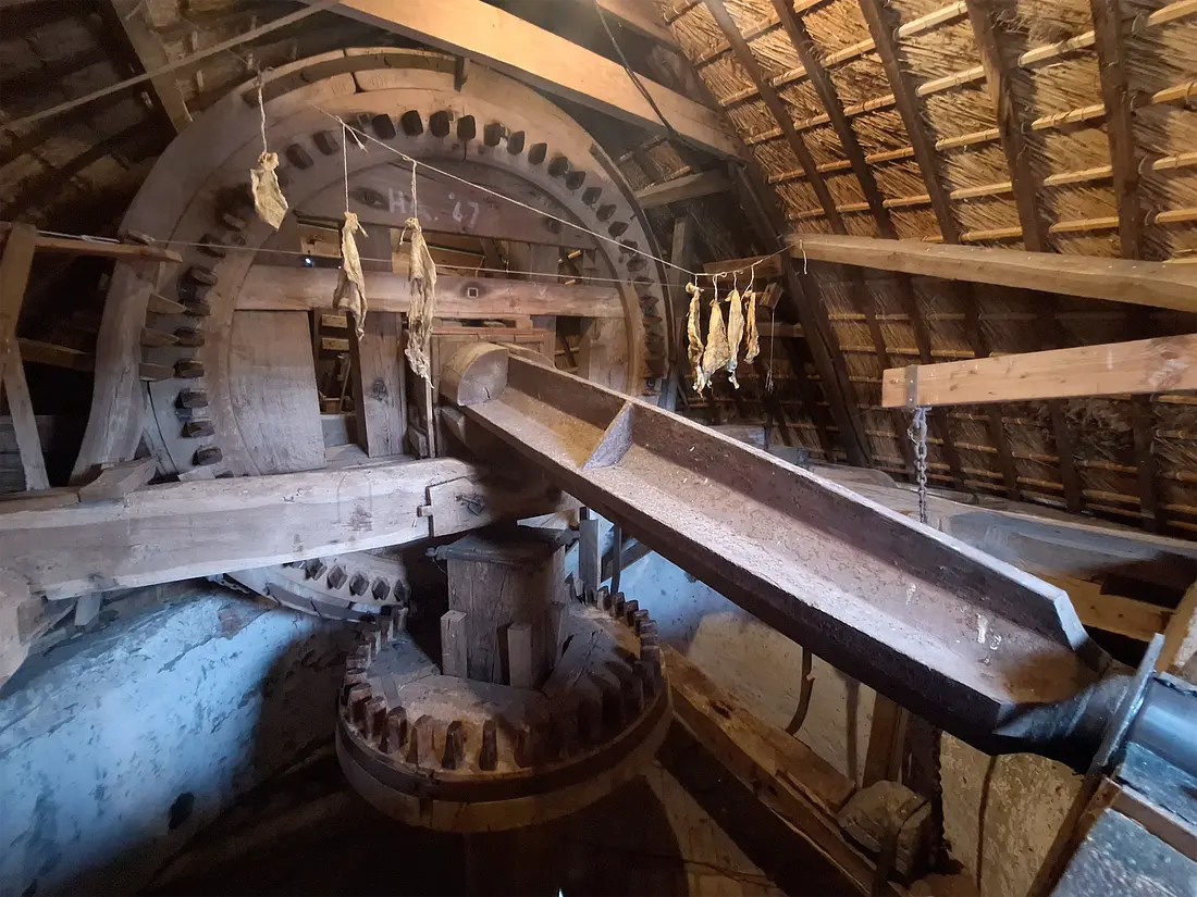 24, Molen 00909 Hackfortsche Molen / Op 't Hoge (Vorden), Jay Verkerk (14-06-2025)&nbsp;De lange spruit dient overduidelijk ook als ijzerbalk. Let op de ingekorte bovenas. | Database Nederlandse molens