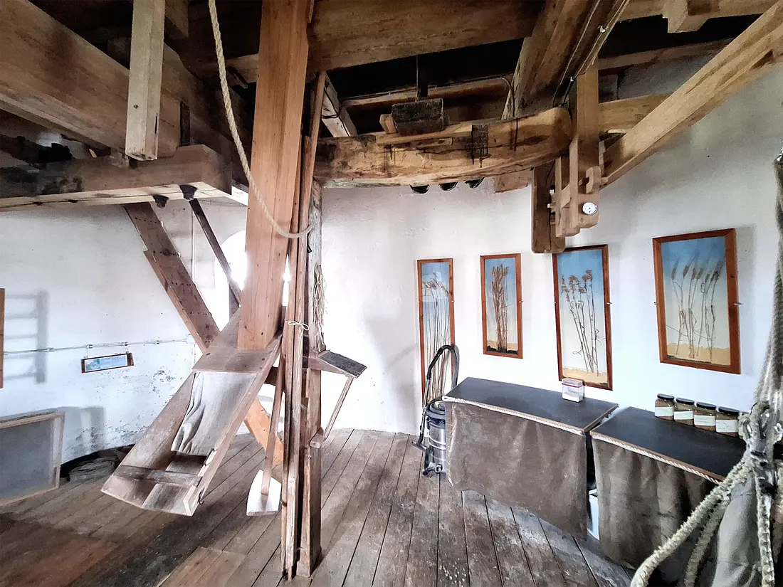 11, Molen 00909 Hackfortsche Molen / Op 't Hoge (Vorden), Jay Verkerk (14-06-2025)&nbsp; | Database Nederlandse molens