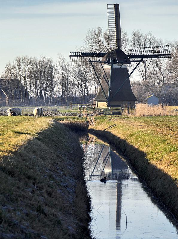 4, Molen 03178 De Eendracht (Kimswerd / Kimswert), Peter Kusters (26-2-2019) | Database Nederlandse molens
