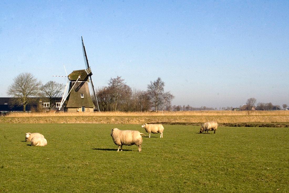 4, Molen 03234 Tochmaland (Kollum), Ad Snel (4-4-2013) | Database Nederlandse molens