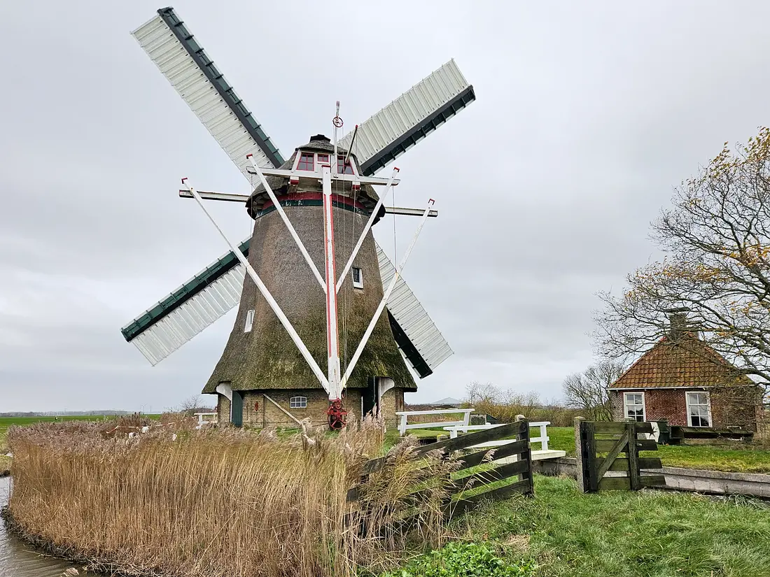 6, Molen 03179 Marswâl / Meerswal (Lollum), Lukas Vandael (30-11-2025)&nbsp; | Database Nederlandse molens
