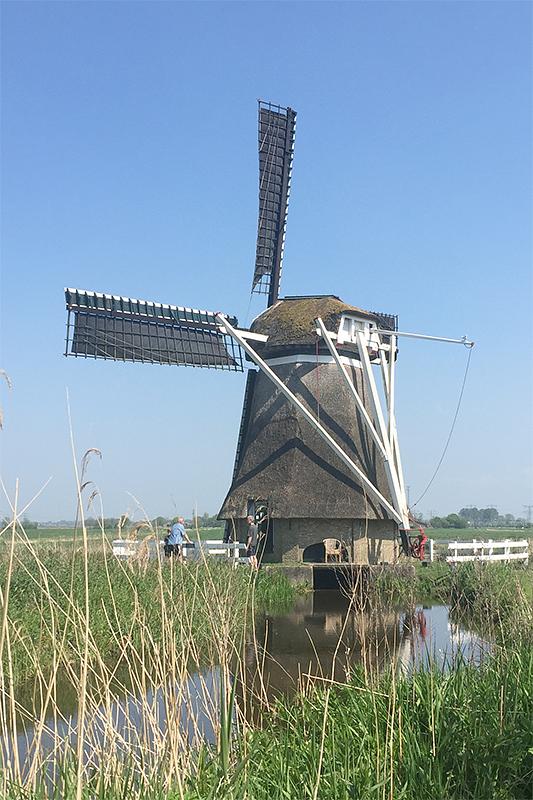 2, Molen 06915 Froskepôllemolen (Leeuwarden / Ljouwert), Frans Limbeek (9-5-2020) | Database Nederlandse molens