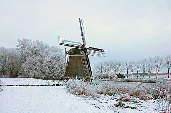 4, Molen 06915 Froskepôllemolen (Leeuwarden / Ljouwert), Joke Prehn (08-12-2010) | Database Nederlandse molens