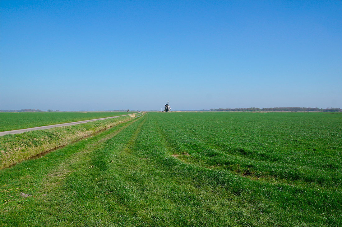 1, Molen 02991 Bullemûne / De Bullemolen (Lekkum), Matthieu Hoogduin (9-4-2017). De molen staat geheel vrij in het landschap. | Database Nederlandse molens