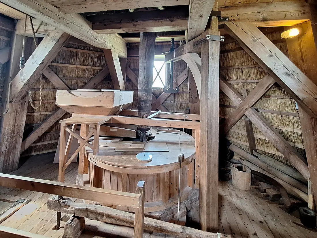 14, Molen 03221 De Phenix (Nes (Ameland)), Jay Verkerk (28-06-2025)&nbsp; | Database Nederlandse molens