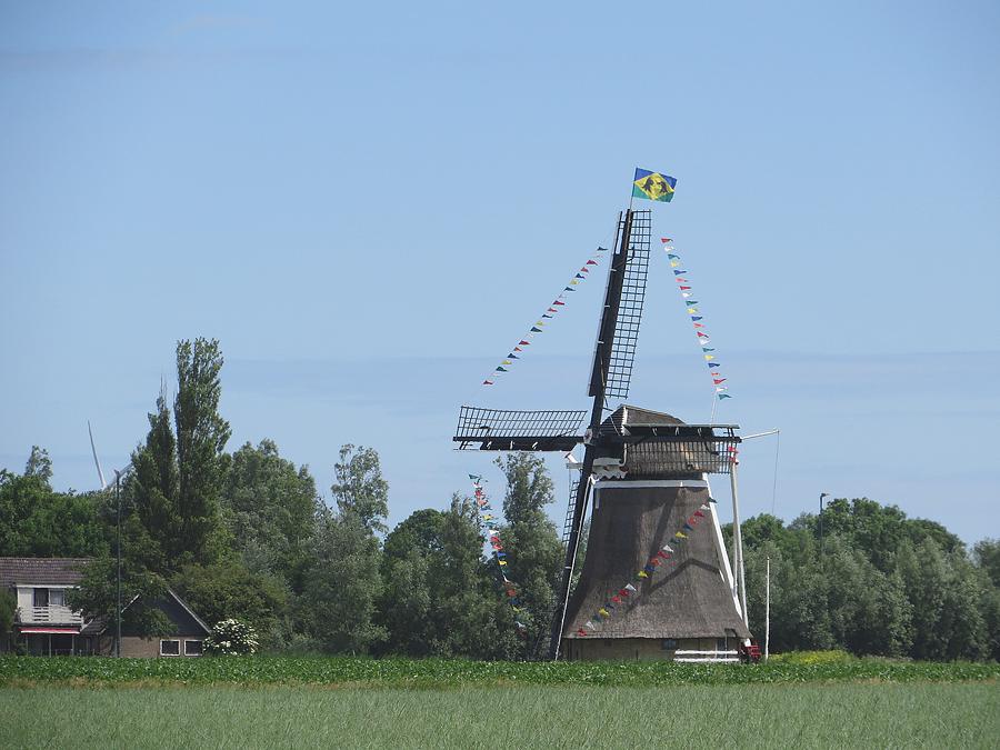 2, Molen 03040 Grutte Mûne / De Grote Molen (Marrum), Nelly Sonneveld (13-6-2014). | Database Nederlandse molens