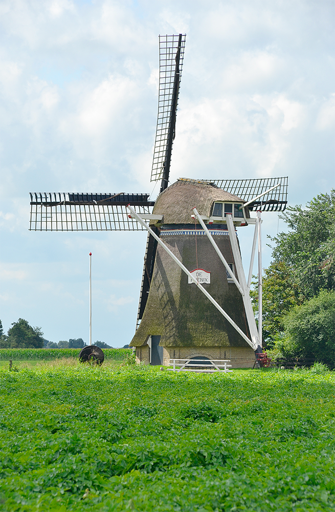2, Molen 03042 De Phenix (Marrum), Rob Pols (23-7-2017) | Database Nederlandse molens