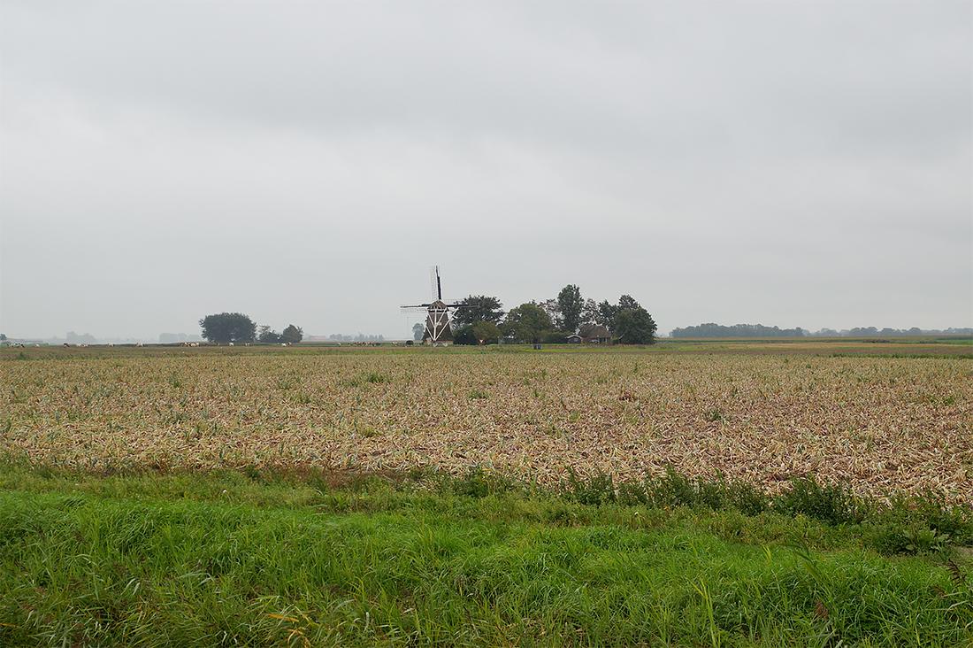4, Molen 03042 De Phenix (Marrum), Matthieu Hoogduin (9-9-2020) | Database Nederlandse molens