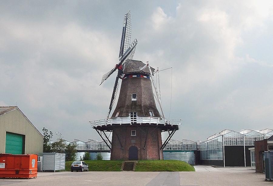 1, Molen 03227 Ropta (Metslawier / Mitselwier), Tony Hop (26-7-2014)Let op de omgeving van de molen en vergelijk die met de foto hieronder! | Database Nederlandse molens