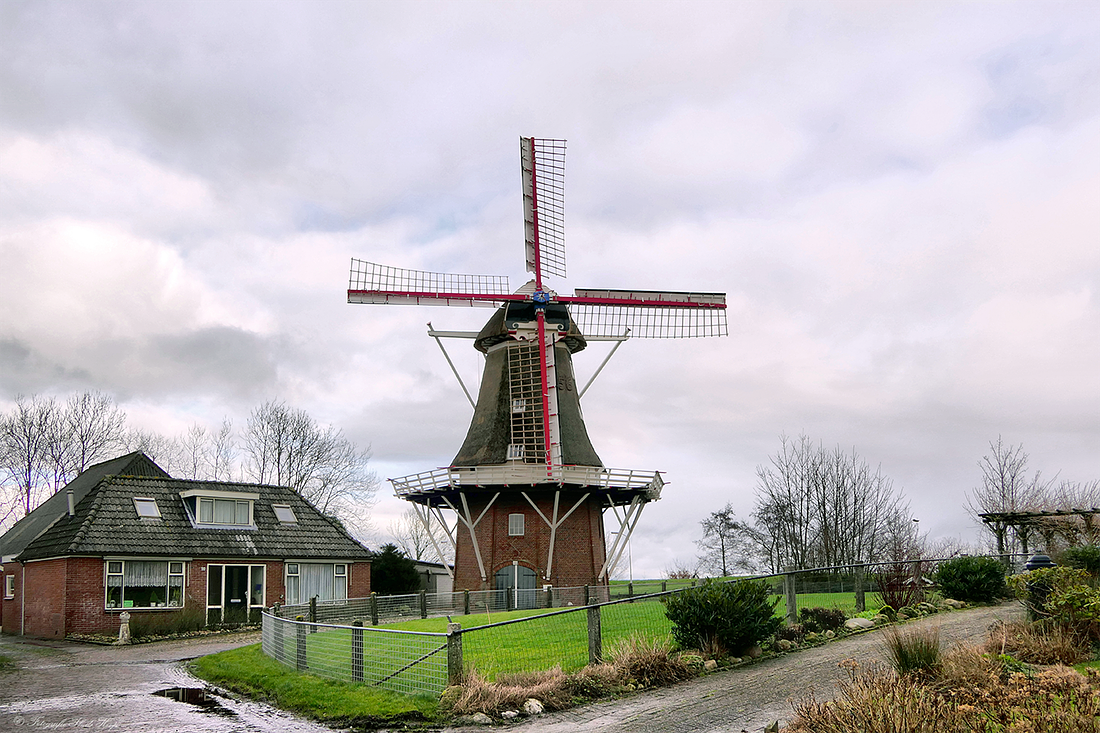 1, Molen 04443 Munnekezijlster Molen / Rust Roest (Munnekezijl), M. de Hoop (2-2-2018) | Database Nederlandse molens
