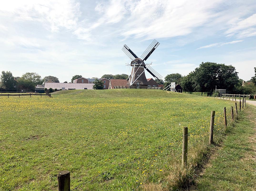 4, Molen 03221 De Phenix (Nes (Ameland)), Sander Boom (1-8-2020) | Database Nederlandse molens