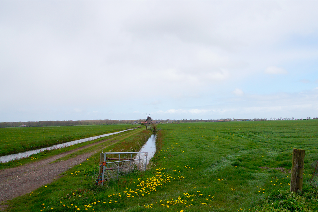 5, Molen 06432 Het Zwaantje / Huitebuurstermolen (Nijemardum / Nijemirdum), Matthieu Hoogduin (22-4-2017)De molen in zijn biotoop. | Database Nederlandse molens