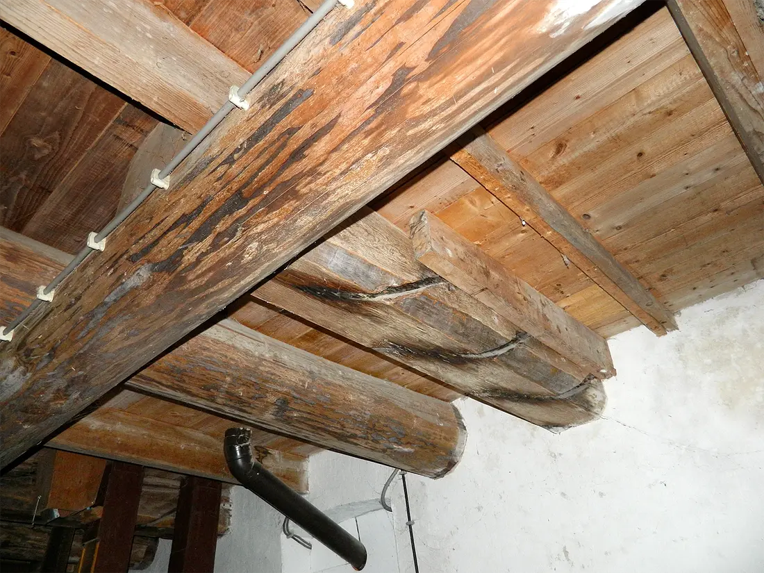 15, Molen 02740 Grenszicht (Emmer-Compascuum), Vincent Mepschen (17-12-2022)Stukken legeringsbalk in het onderachtkant die duidelijk van een vijzel afkomstig zijn. | Database Nederlandse molens