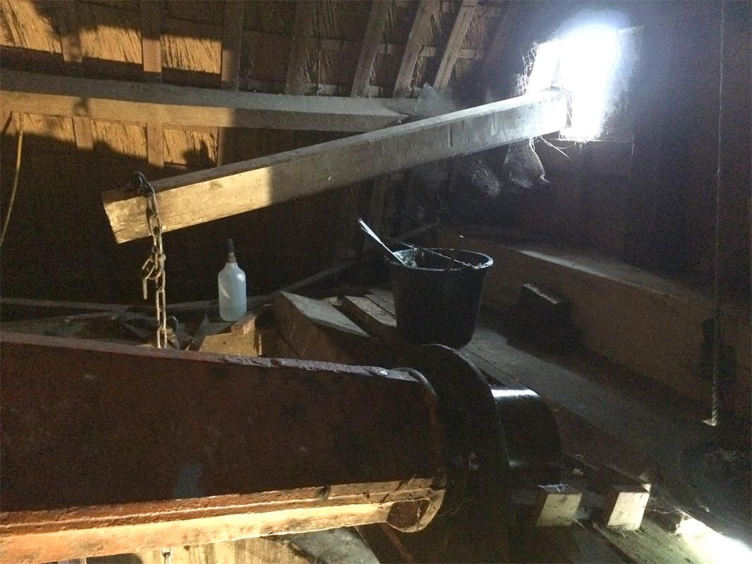 16, Molen 10277 De Juffer (Gasselternijveen), Willem Telgen (19-2-2020) | Database Nederlandse molens