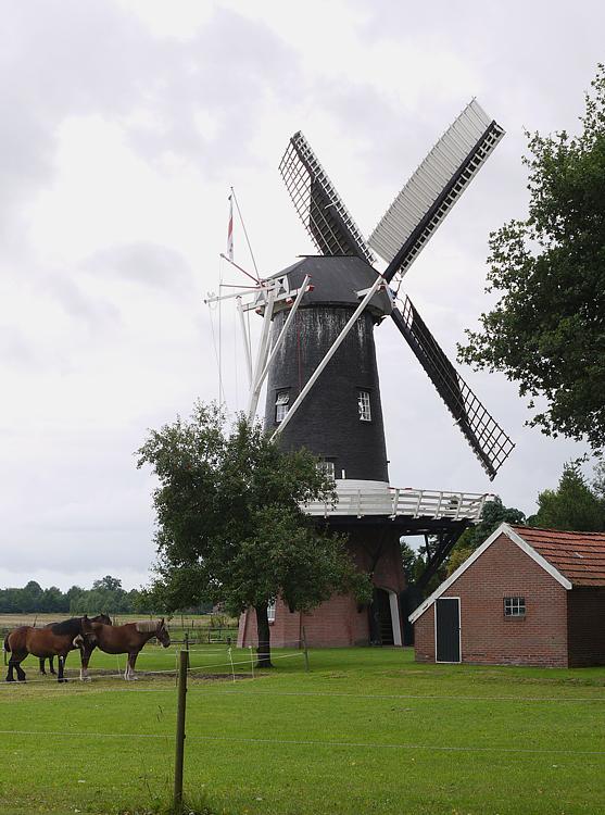 4, Molen 04419 De Eendracht (Gieterveen), Matthieu Hoogduin (28-8-2010). | Database Nederlandse molens