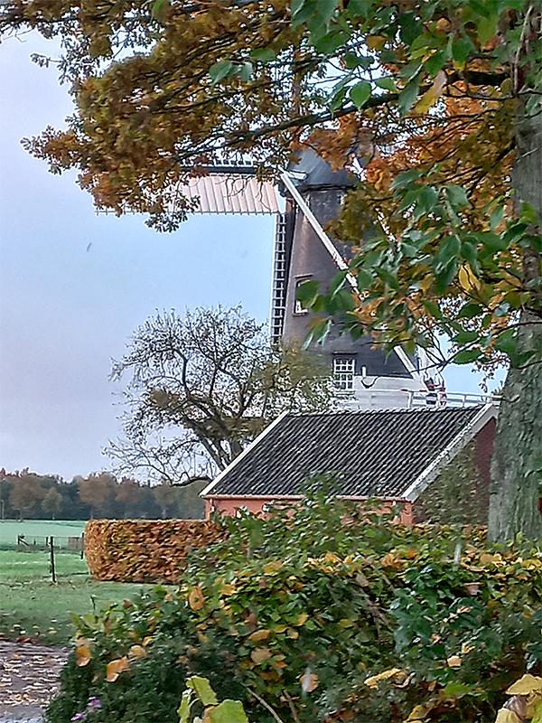 7, Molen 04419 De Eendracht (Gieterveen), Manja de Boer (5-11-2021)Zij schrijft: "Ik heb hem zelf gemaakt vanuit mijn woonkamer (ik woon schuin tegenover de molen)". | Database Nederlandse molens