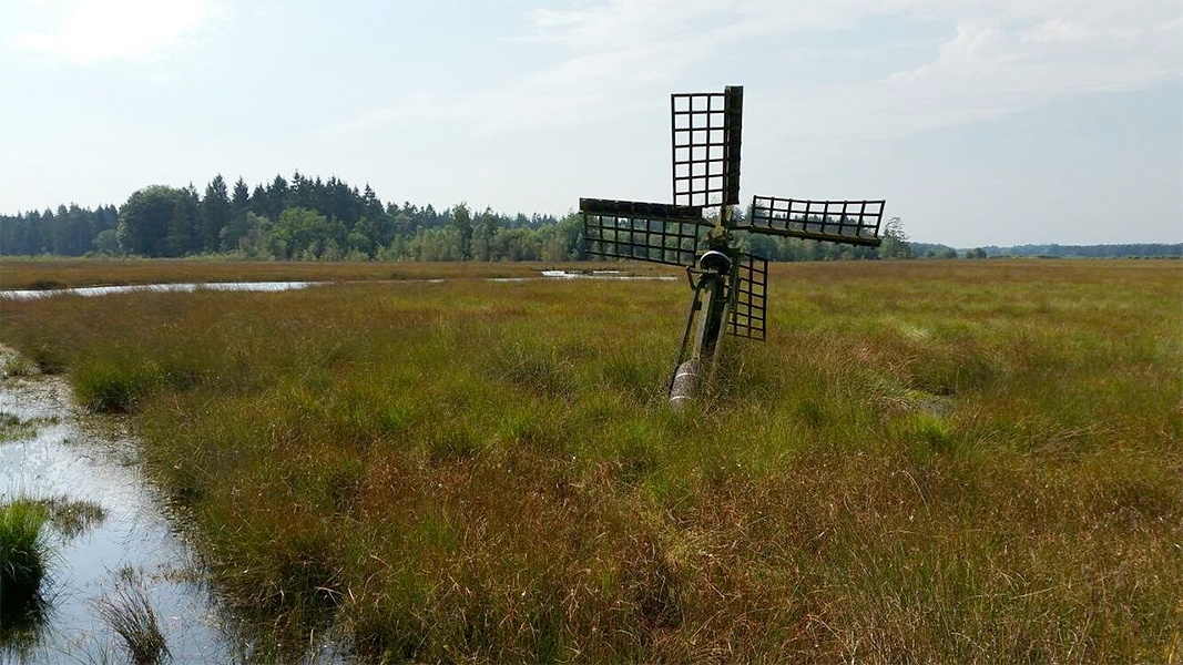 3, Molen 11164 (paaltjasker) (Grolloo), Pieter Zuijkerbuijk (30-8-2016) | Database Nederlandse molens