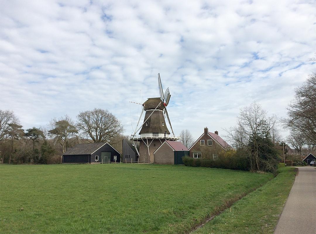 3, Molen 02753 (Naamloos) (Havelte), Willem Telgen (17-3-2020) | Database Nederlandse molens