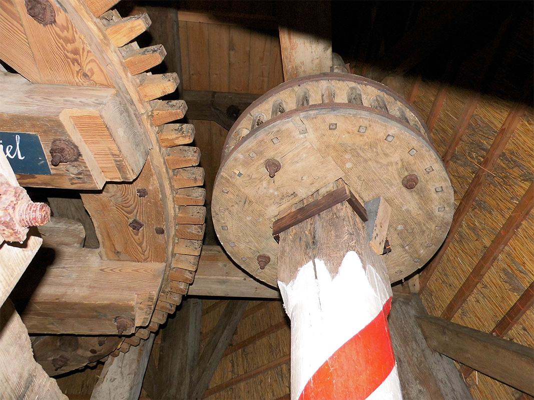 12, Molen 02743 Albertdina (Noord-Sleen), Coen Manche (29-2-2020) | Database Nederlandse molens