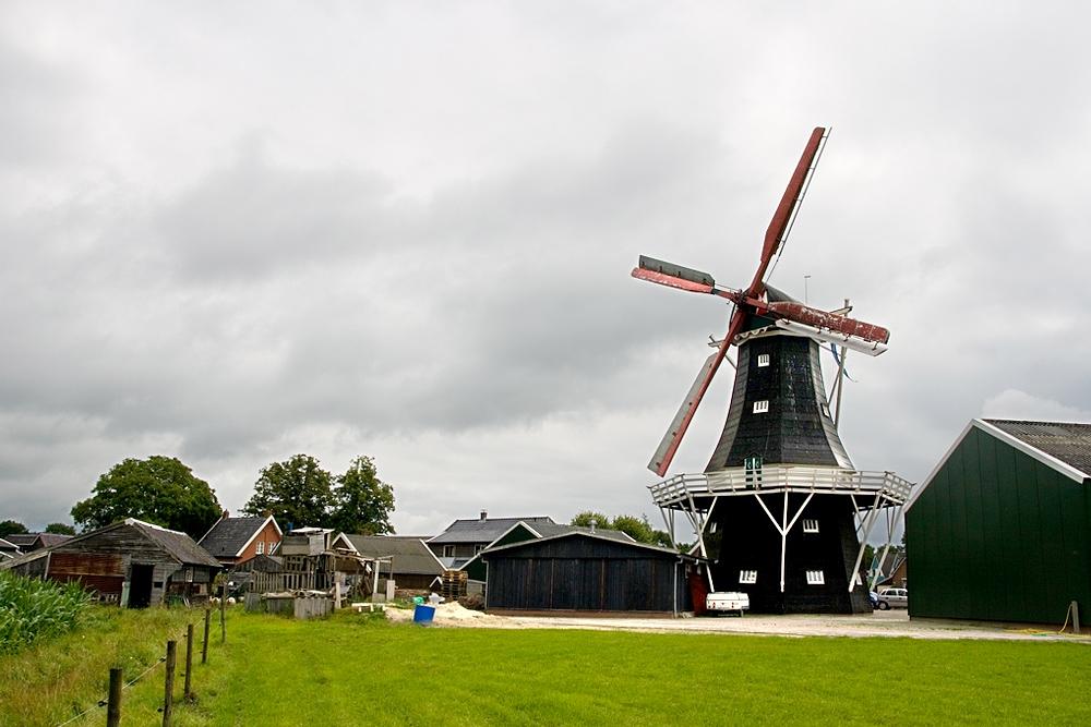 1, Molen 04432 De Hoop (Norg), Irmo Snoek (29-7-2011) | Database Nederlandse molens
