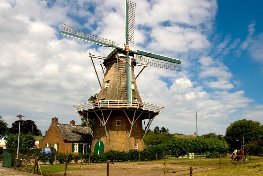 1, Molen 04431 Noordenveld (Norg), Irmo Snoek (14-7-2010) | Database Nederlandse molens