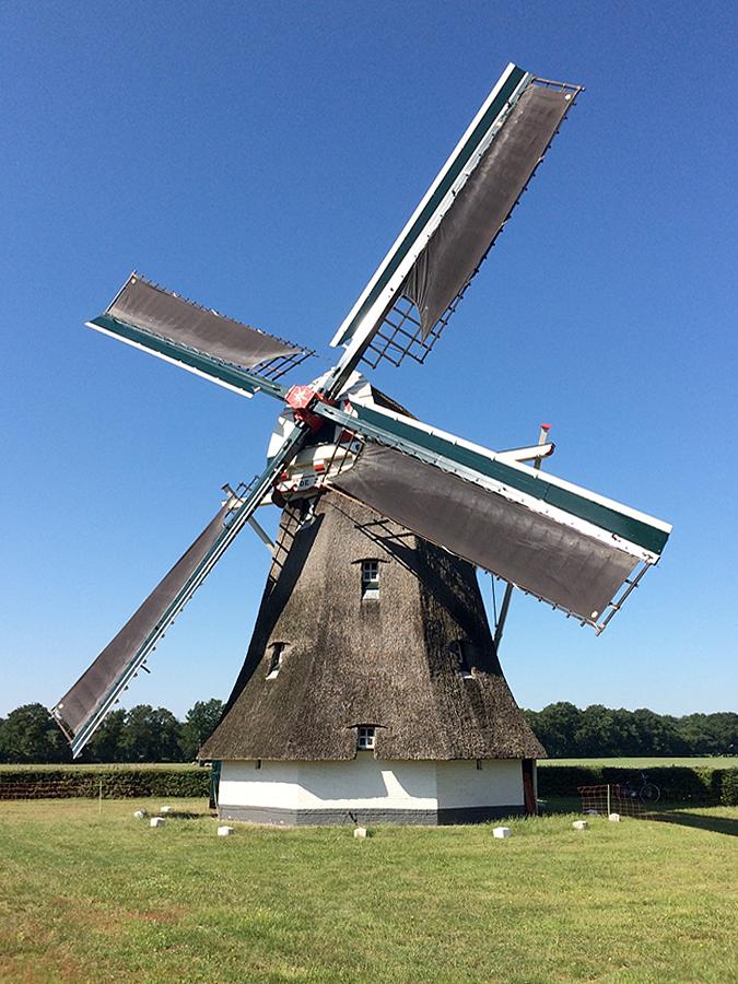 Molen 00685 De Zwaluw (Oudemolen), Willem Telgen (25-6-2020) | Database Nederlandse molens