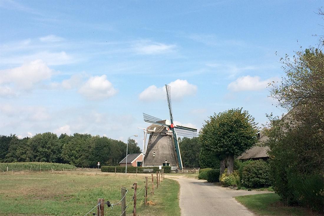 1, Molen 00685 De Zwaluw (Oudemolen), Willem Telgen (29-8-2019) | Database Nederlandse molens