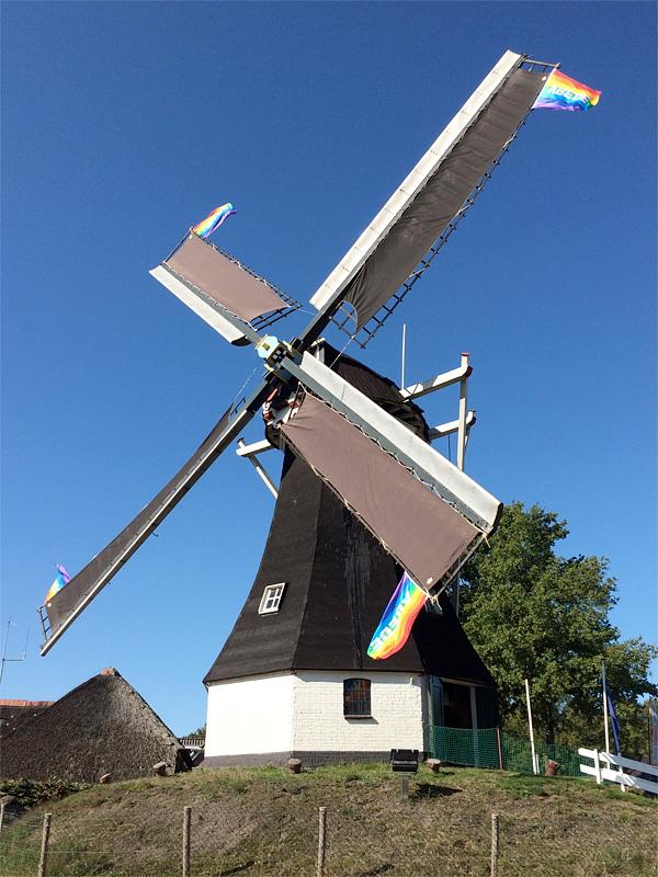 6, Molen 00686 Molen van Rolde (Rolde), Willem Telgen (21-09-2019)I.v.m. de vredesweek zitten er vlaggen aan de wieken. | Database Nederlandse molens