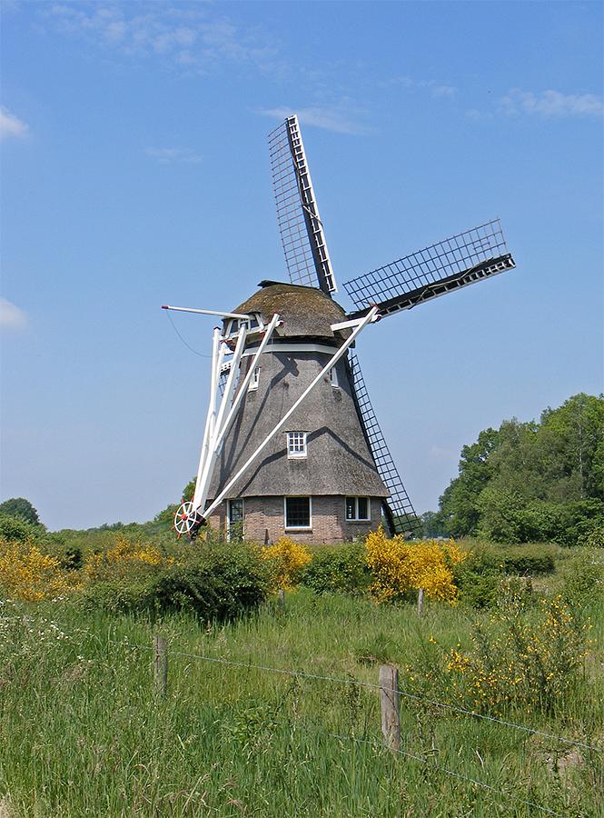3, Molen 06916 De Zaandplatte (Ruinen), Martin E. van Doornik (4-6-2021)De belt is zo laag dat de molen gezien vanuit sommige hoeken meer op een grondzeiler lijkt. | Database Nederlandse molens