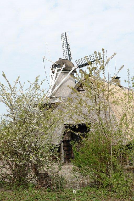 5, Molen 10070 De Poffert (Vledder), Frits Kruishaar (24-4-2010) | Database Nederlandse molens
