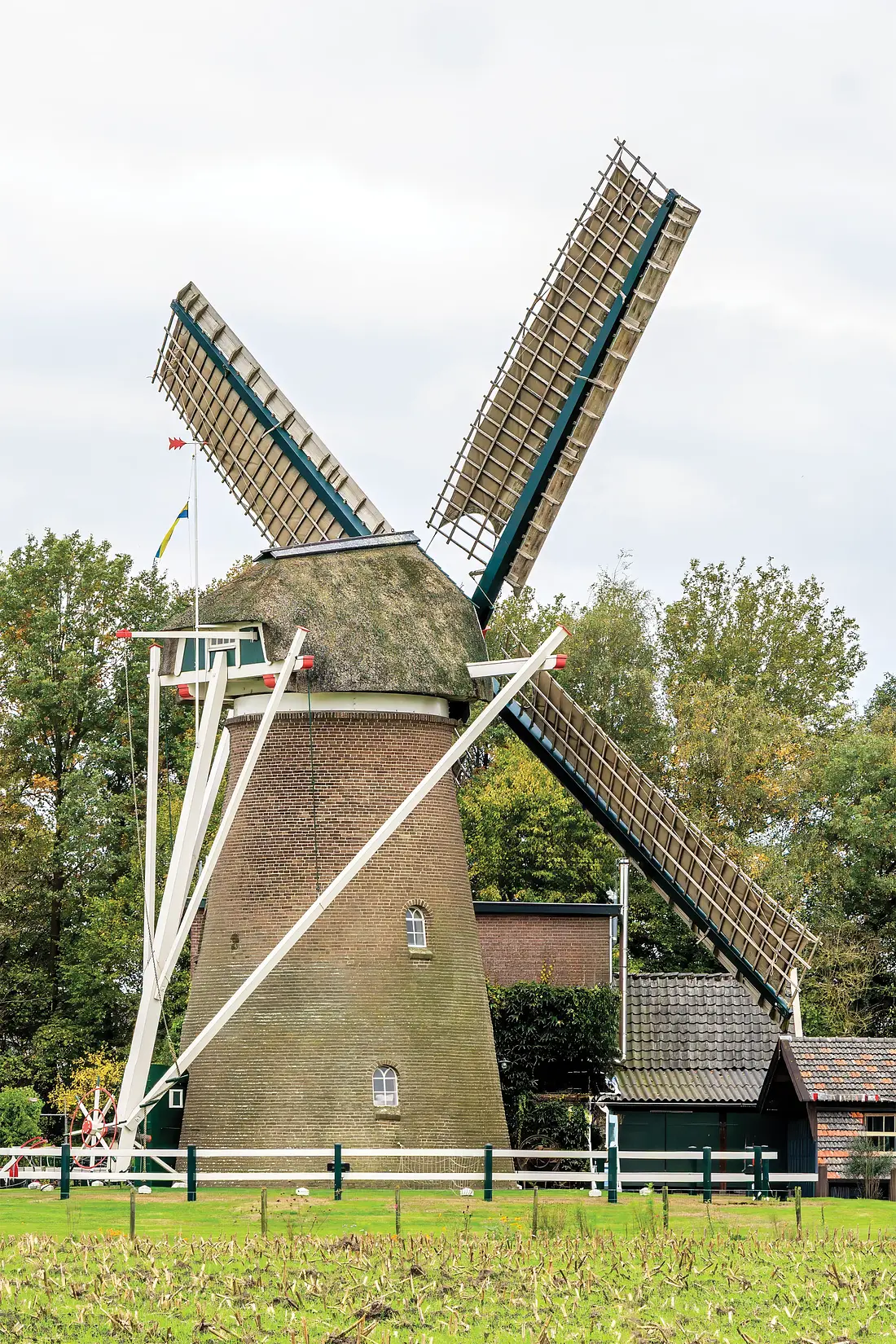 3, Molen 00914 Geertruida Cornelia (Gorssel), Frank Hendriks (10-10-2025)&nbsp; | Database Nederlandse molens