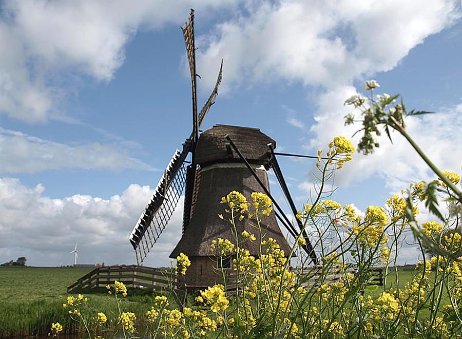 4, Molen 00413 De Snip (Workum / Warkum), Piet Meinderts (15-5-2012). | Database Nederlandse molens
