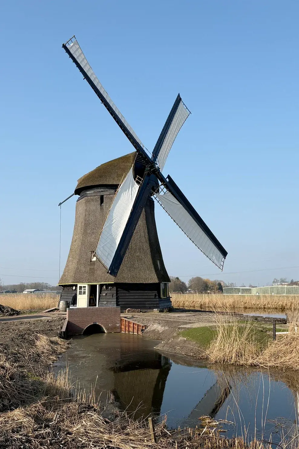 Molen 00166 Strijkmolen L (Oterleek), Mats Faber (04-03-2026)&nbsp;De eerste omwentelingen van strijkmolen L na de ingrijpende restauratie in 2023-2026. | Database Nederlandse molens