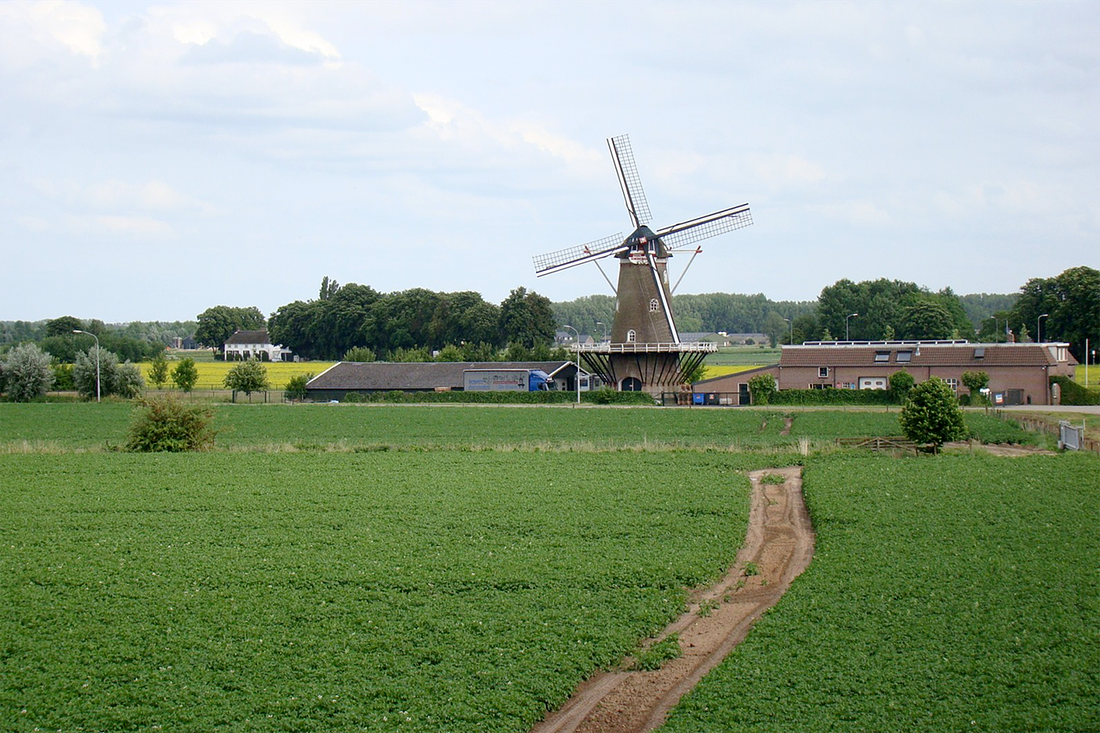 1, Molen 01215 De Drie Waaien (Afferden), Jan de Wolf (29-6-2013) | Database Nederlandse molens