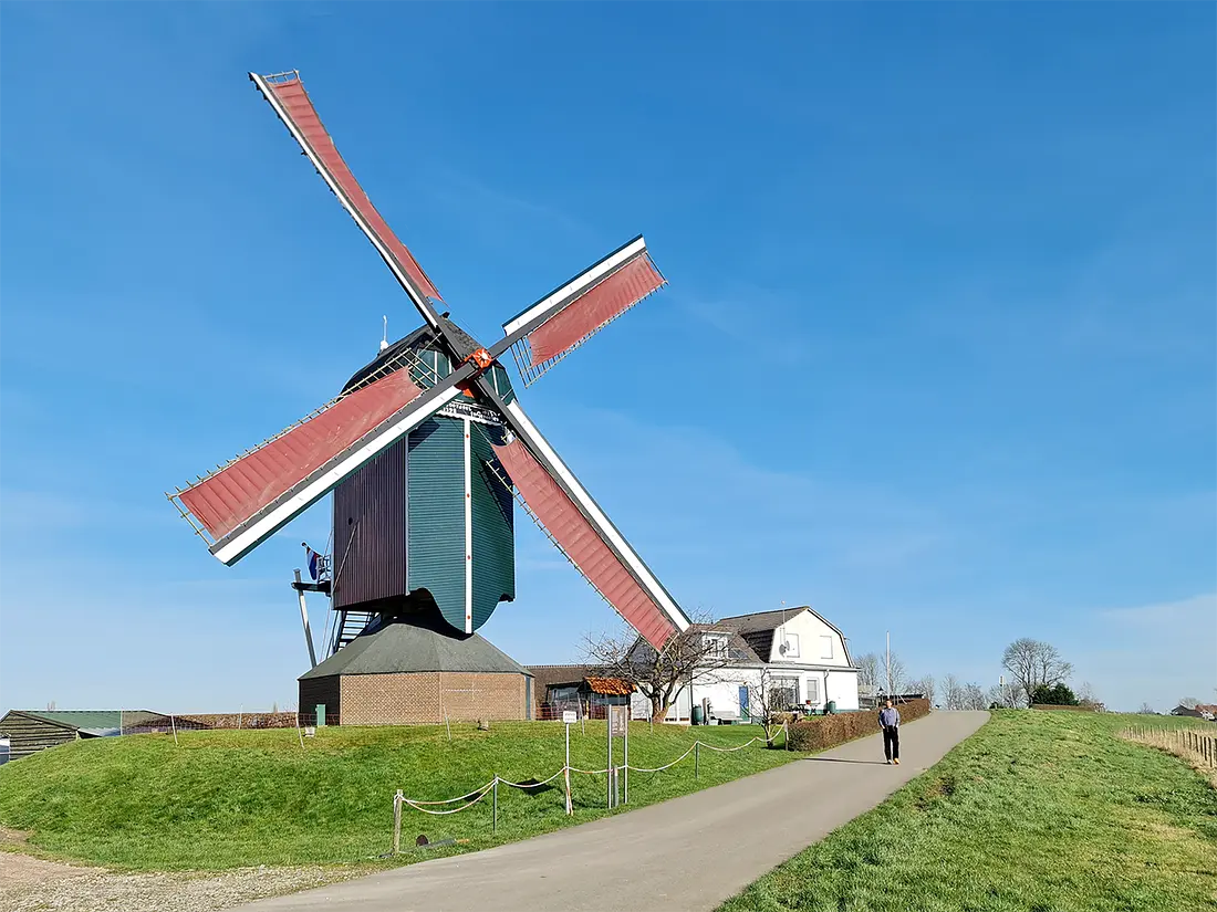 1, Molen 02477 Tot Voordeel en Genoegen (Alphen aan de Maas), Pieter Zuijkerbuijk (12-02-2022) | Database Nederlandse molens