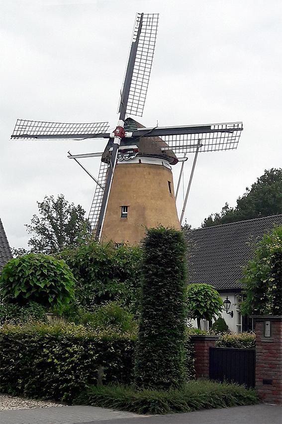 5, Molen 00092 De Hoop (Nijkerk-Appel), Oscar Soria (22-6-2018).De molen met een nieuw rietdek. | Database Nederlandse molens
