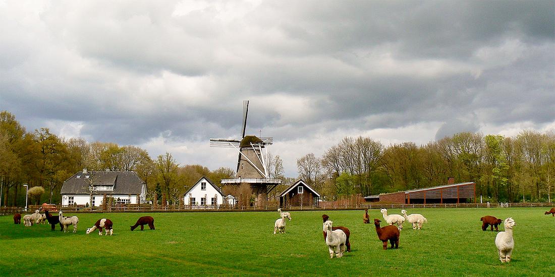 3, Molen 00092 De Hoop (Nijkerk-Appel), Kees van den Brink (23-4-2017) | Database Nederlandse molens