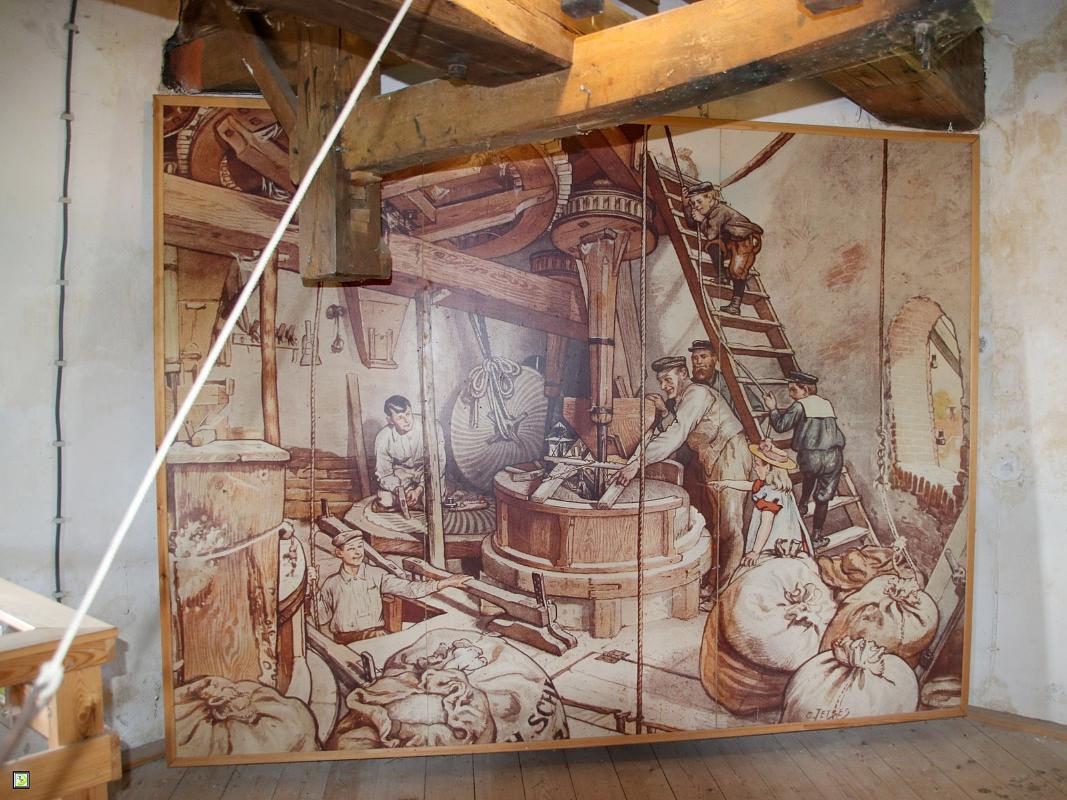 9, Molen 00092 De Hoop (Nijkerk-Appel), Jan van Eijk (11-8-2018) | Database Nederlandse molens