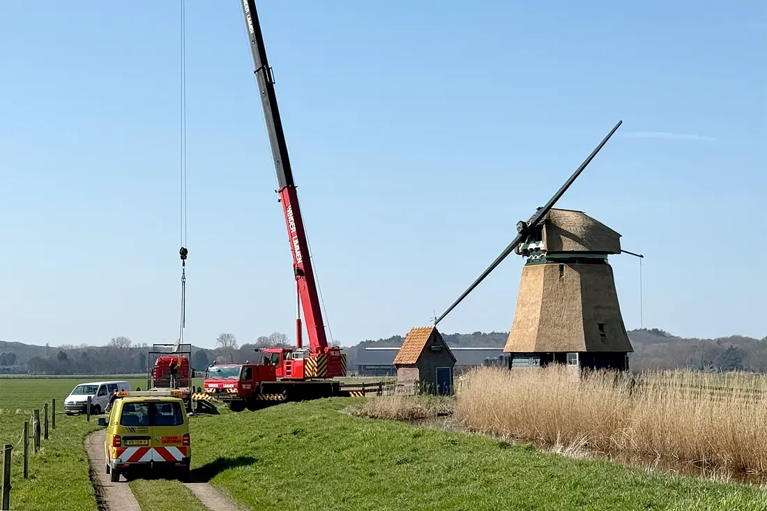 2, Molen 01097 Philisteinse Molen (Bergen), Eric Zwijnenberg (19-03-2026)&nbsp;De nieuwe roeden worden gestoken. | Database Nederlandse molens
