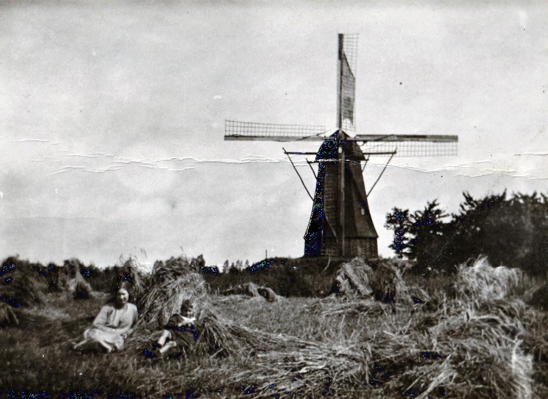 Molen 02684 voorganger Westerveld Möl (Tilligte), Foto collectie DHM | Database Nederlandse molens