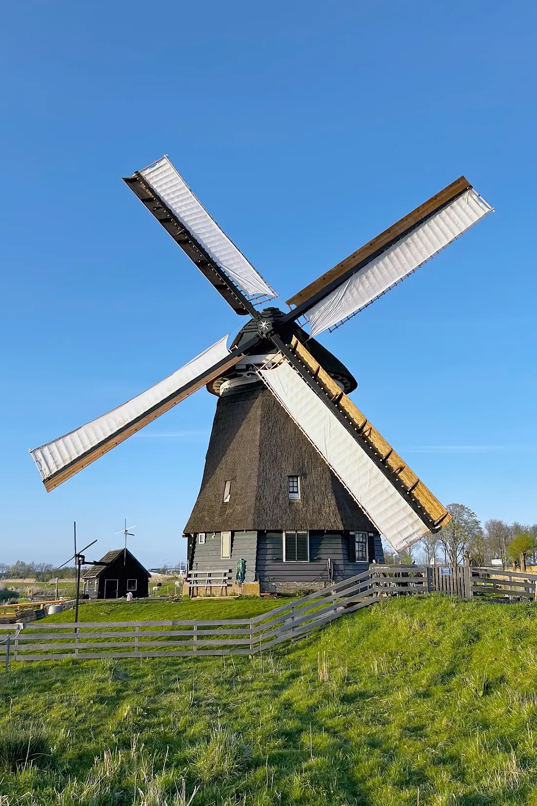 Molen 00359 Molen D / Oosterdel (Broek op Langedijk), Abel van loenen (16-04-2026)&nbsp;De molen met zijn nieuwe wiekenkruis | Database Nederlandse molens