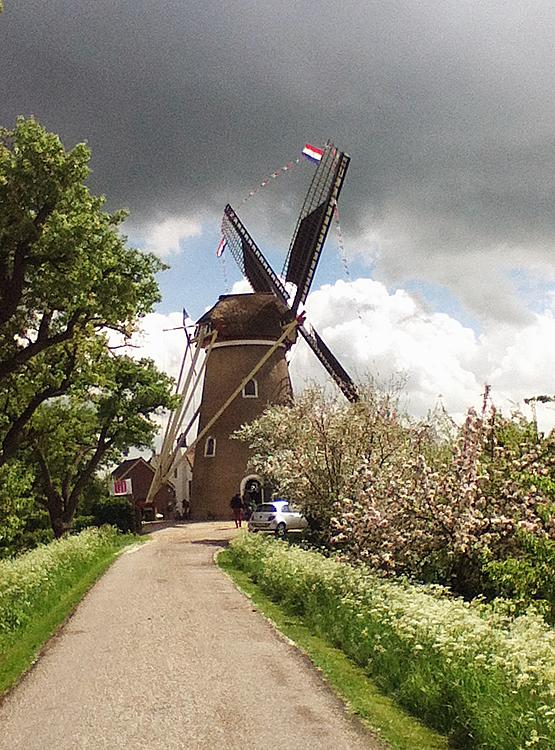 8, Molen 00250 De Vrijheid (Beesd), Eline de Jong (11-5-2013) | Database Nederlandse molens